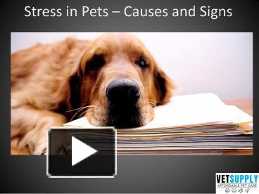 PPT – Stress In Pets – Causes And Signs | VetSupply PowerPoint ...