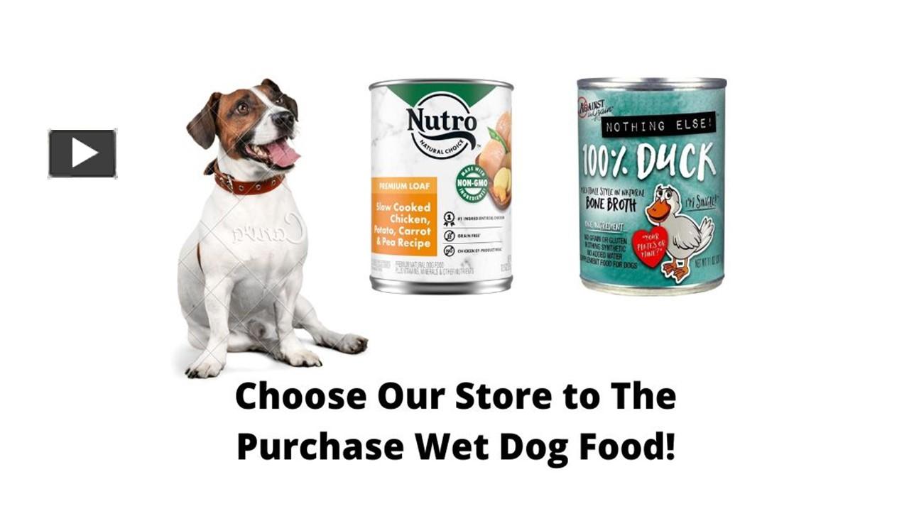 ppt-choose-our-store-to-the-purchase-wet-dog-food-powerpoint