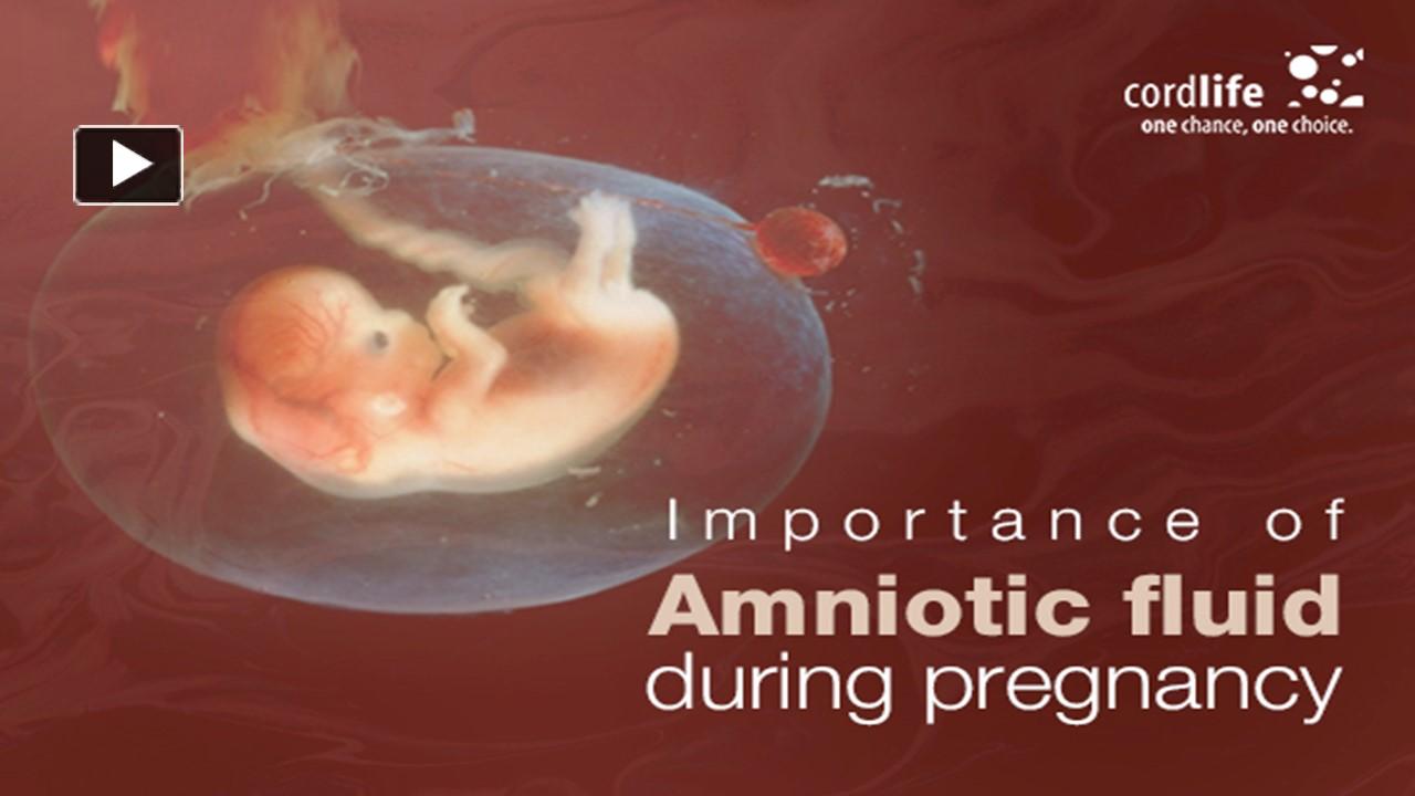 ppt-importance-of-amniotic-fluid-during-pregnancy-powerpoint