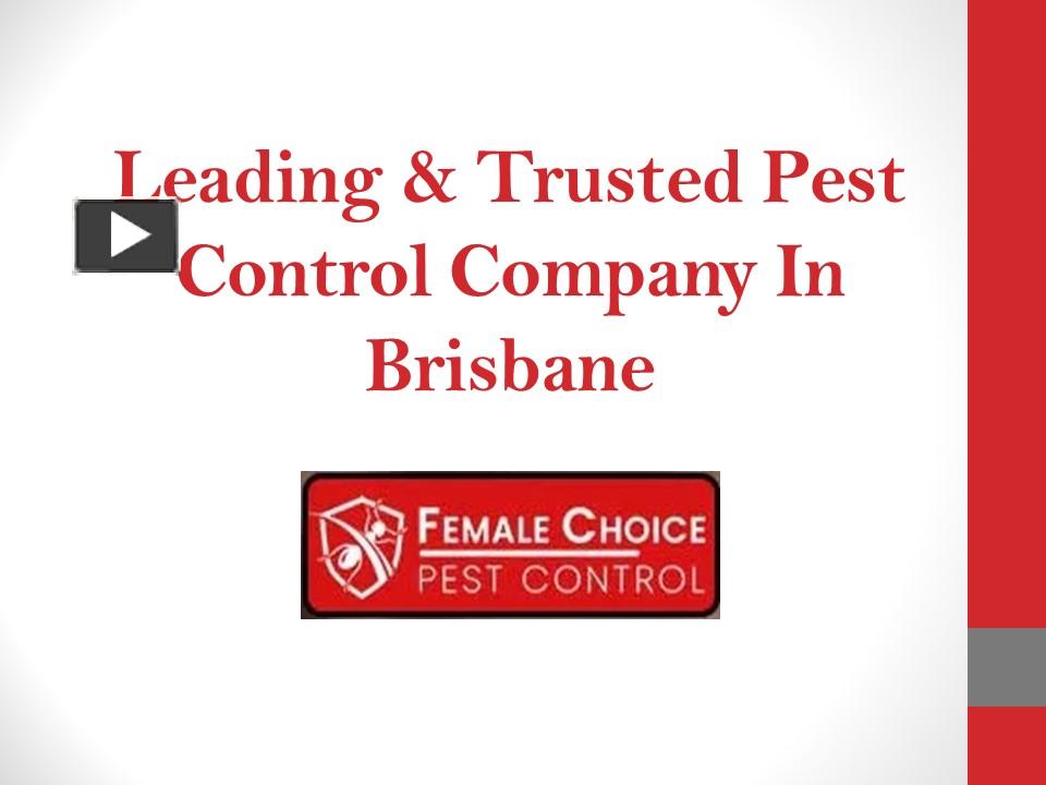 PPT – Get Excellent Pest Control Service | Female Choice Pest Control ...