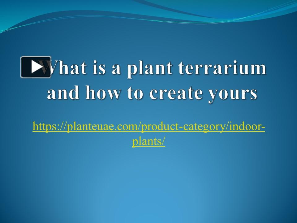 ppt-what-is-a-plant-terrarium-and-how-to-create-yours-powerpoint