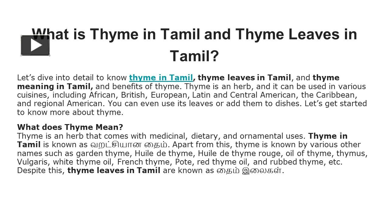 ppt-what-is-thyme-in-tamil-and-thyme-leaves-in-tamil-powerpoint