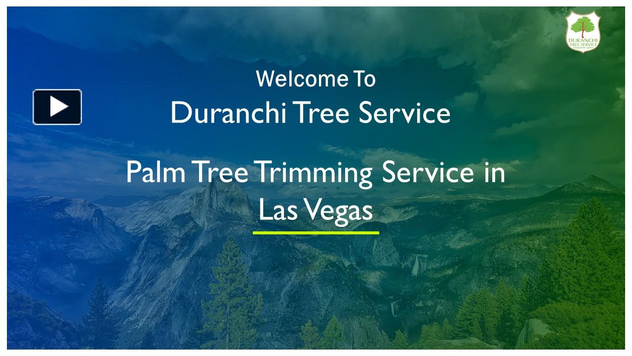 PPT Professional Palm Tree Trimming Services In Las Vegas Call Us