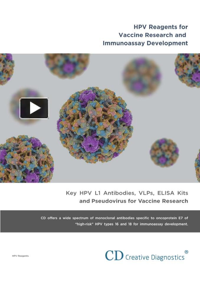 PPT – HPV Reagents For Vaccine Research And Immunoassay Development ...