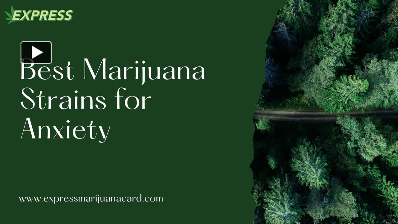 PPT – Best Marijuana Strains For Anxiety PowerPoint Presentation | Free ...