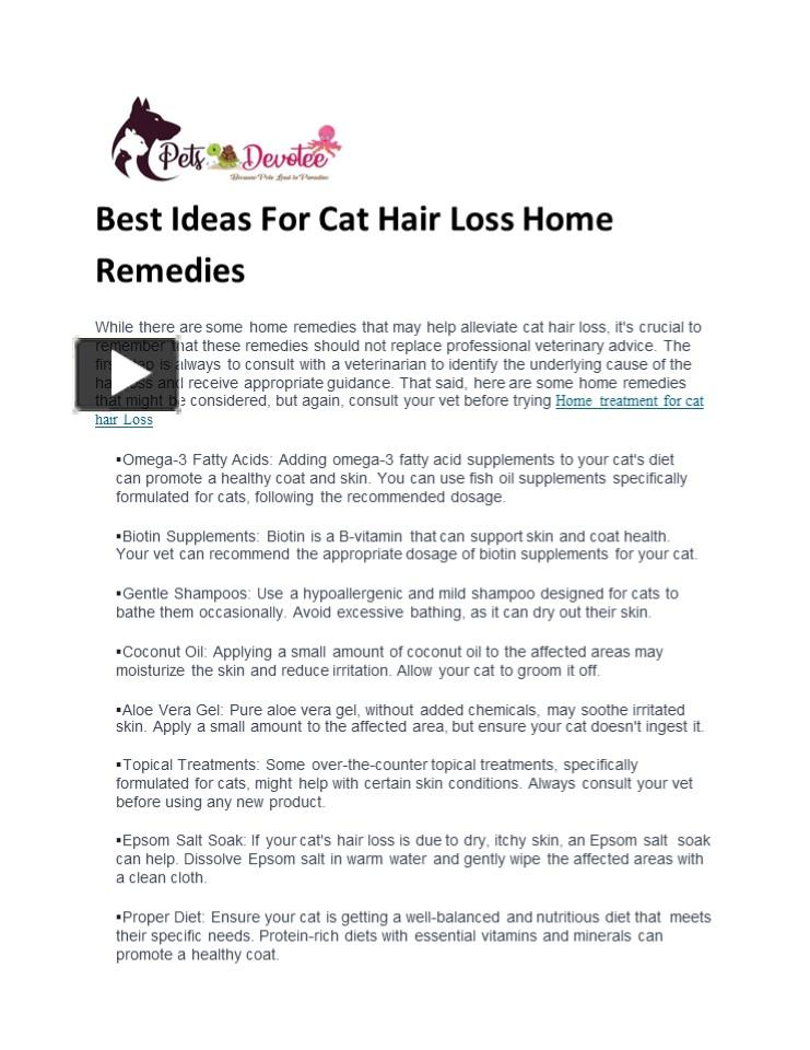 PPT Best Ideas For Cat Hair Loss Home Remedies PowerPoint