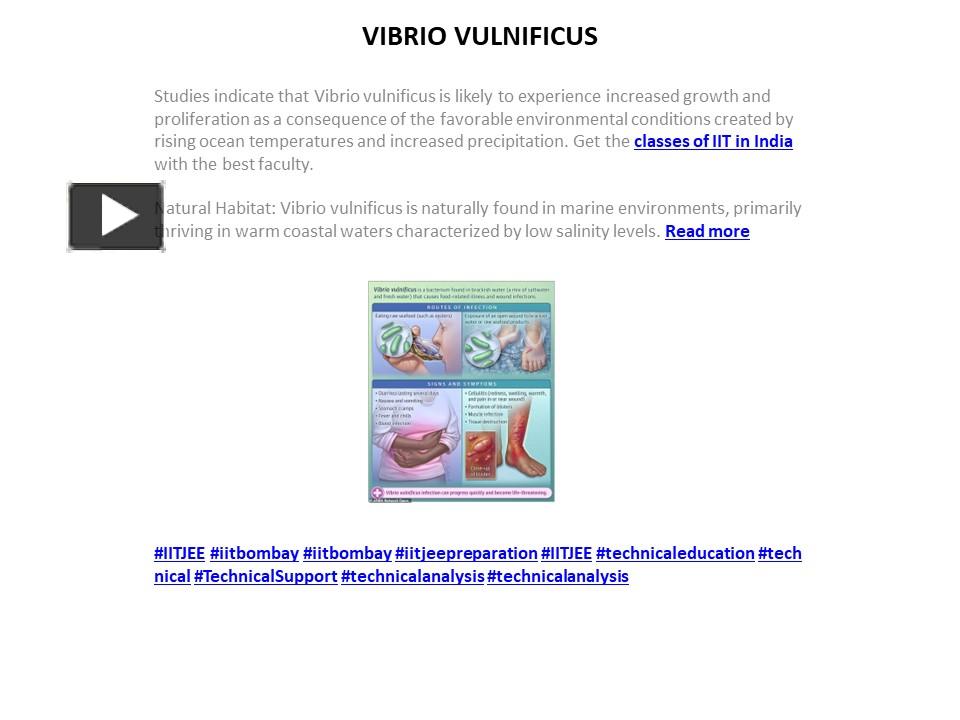 PPT – VIBRIO VULNIFICUS PowerPoint Presentation | Free To Download - Id ...