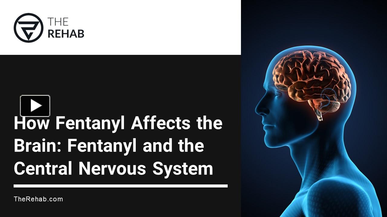 Ppt Fentanyl And The Brain Exploring Its Effects On The Central