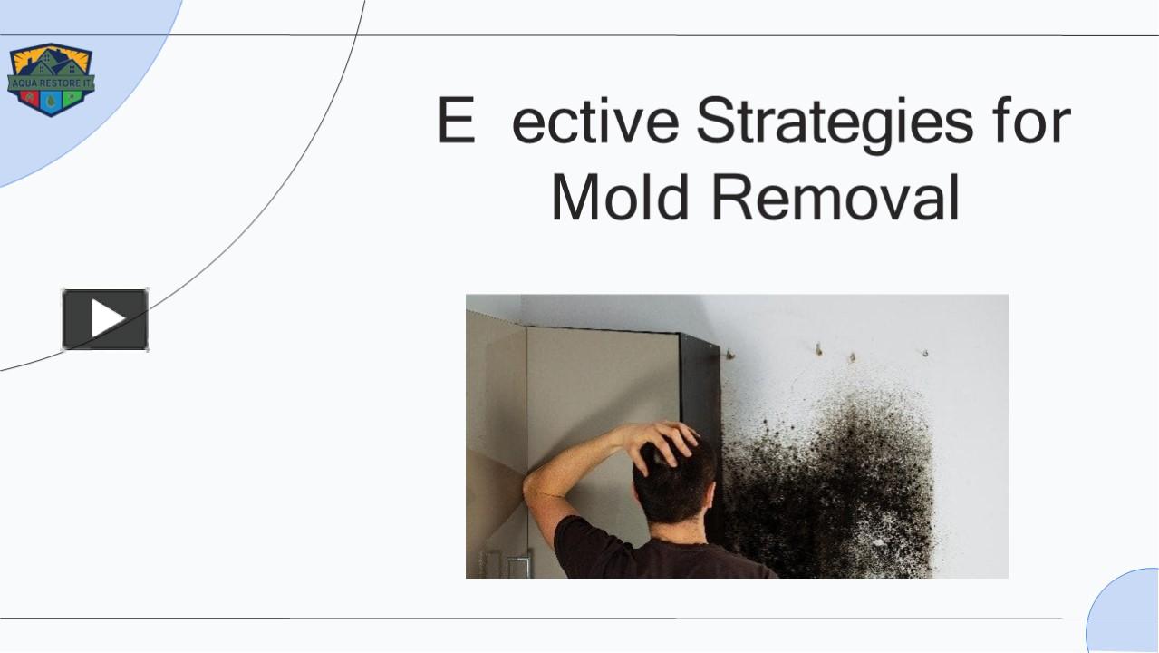 PPT – Effective Strategies For Mold Removal Service PowerPoint ...