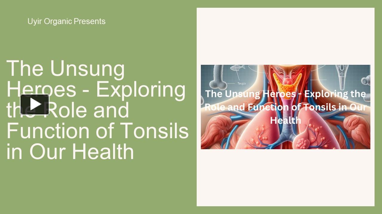 PPT – The Unsung Heroes - Exploring The Role And Function Of Tonsils In ...