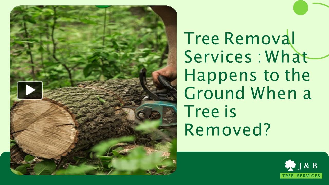 Ppt Tree Removal Services What Happens To The Ground When A Tree Is