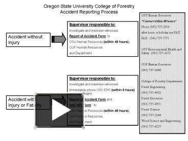 PPT – Oregon State University College Of Forestry PowerPoint ...