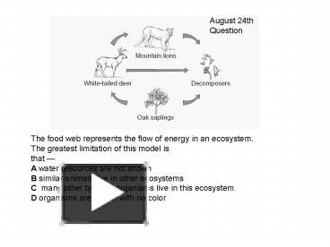 PPT – The Food Web Represents The Flow Of Energy In An Ecosystem' The ...