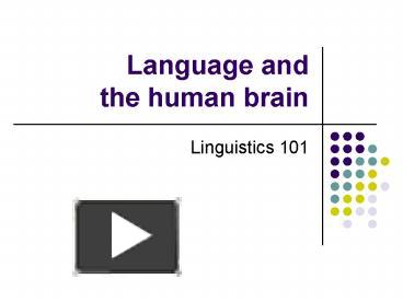 PPT – Language And The Human Brain PowerPoint Presentation | Free To ...