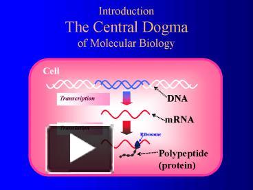 PPT – Introduction The Central Dogma Of Molecular Biology PowerPoint ...