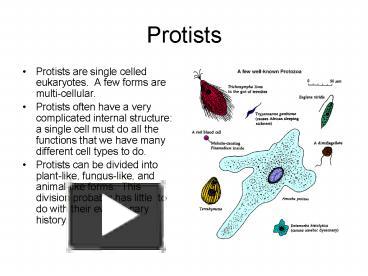 PPT – Protists PowerPoint Presentation | Free To View - Id: E2d15-ZDc1Z