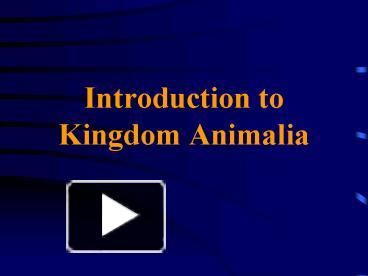 PPT – Introduction To Kingdom Animalia PowerPoint Presentation | Free ...