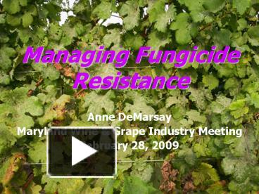 Ppt Managing Fungicide Resistance Powerpoint Presentation Free To View Id Ed A Zdc Z