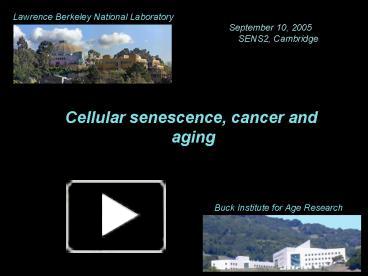 PPT – Cellular Senescence, Cancer And PowerPoint Presentation | Free To ...