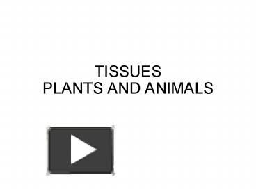 PPT – TISSUES PLANTS AND ANIMALS PowerPoint Presentation | Free To View ...