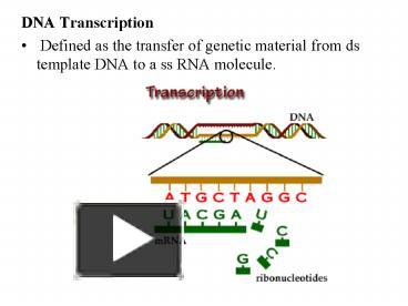 PPT – DNA Transcription PowerPoint Presentation | Free To View - Id ...