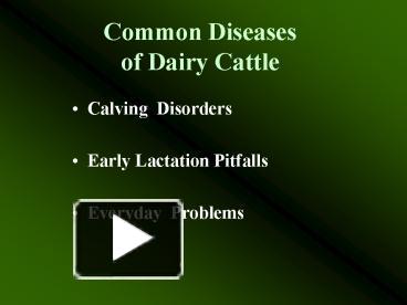 PPT – Common Diseases Of Dairy Cattle PowerPoint Presentation | Free To ...