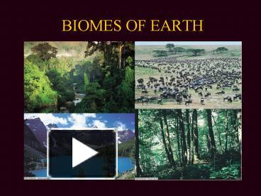 PPT – BIOMES OF EARTH PowerPoint Presentation | Free To View - Id ...