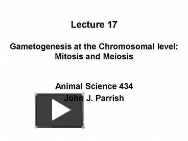 PPT – Lecture 17 Gametogenesis at the Chromosomal level: Mitosis and ...