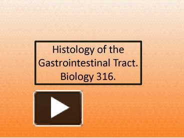 PPT – Histology of the Gastrointestinal Tract' PowerPoint presentation ...