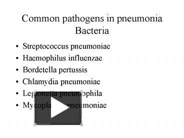 PPT – Common pathogens in pneumonia Bacteria PowerPoint presentation ...