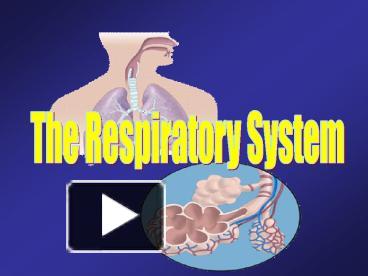 PPT – The Respiratory System PowerPoint presentation | free to view ...