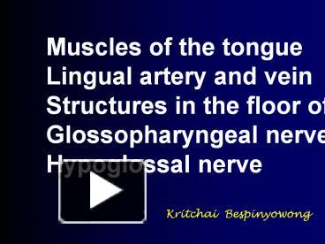 PPT – Muscles of the tongue PowerPoint presentation | free to download ...