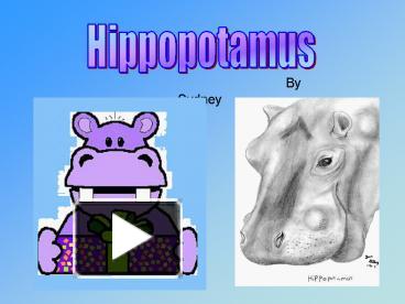 PPT – Hippopotamus PowerPoint presentation | free to view - id: 15a44-OGEzO