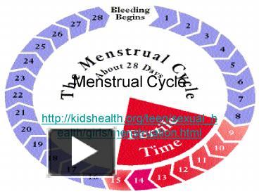 PPT – Menstrual Cycle PowerPoint presentation | free to view - id ...