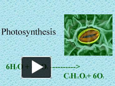 PPT – Photosynthesis PowerPoint presentation | free to view - id ...