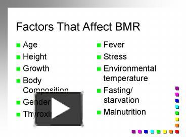 Ppt Factors That Affect Bmr Powerpoint Presentation Free To View Id 1ce04 Zwi2m