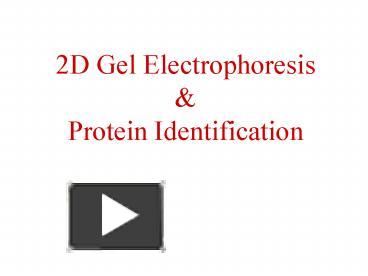 PPT – 2D Gel Electrophoresis PowerPoint presentation | free to view ...