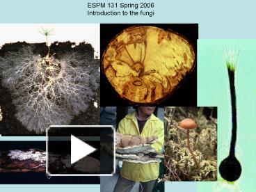 PPT – ESPM 131 Spring 2006 PowerPoint presentation | free to download ...