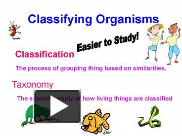 PPT – Classifying Organisms PowerPoint presentation | free to view - id ...