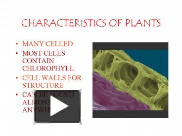 PPT – CHARACTERISTICS OF PLANTS PowerPoint presentation | free to view ...