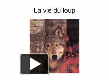 PPT – La vie du loup PowerPoint presentation | free to view - id ...