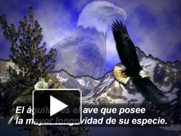 PPT – El Aguila PowerPoint presentation | free to download - id:  2ab0f9-MGVjZ