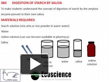 PPT – 084 DIGESTION OF STARCH BY SALIVA PowerPoint presentation | free ...