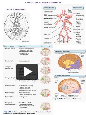 PPT – BLOOD SUPPLY OF BRAIN PowerPoint presentation | free to view - id ...