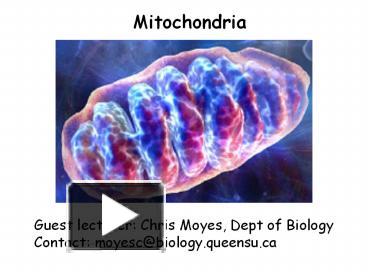 PPT – Mitochondria PowerPoint presentation | free to view - id: 3d6fe4 ...