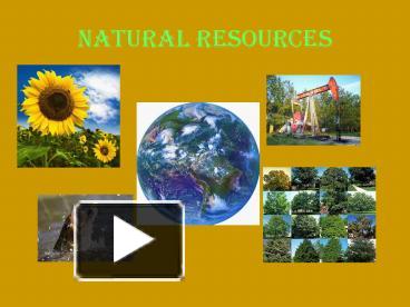 natural resources case study ppt