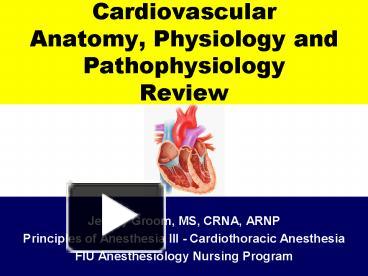 PPT – Cardiovascular Anatomy, Physiology and Pathophysiology Review ...