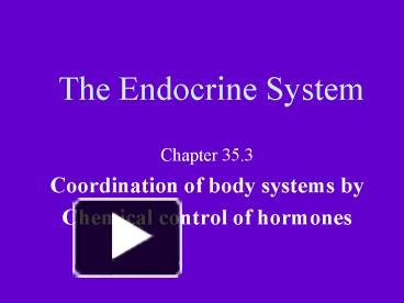 PPT – The Endocrine System PowerPoint presentation | free to view - id ...