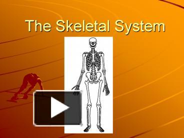 PPT – The Skeletal System PowerPoint presentation | free to view - id ...