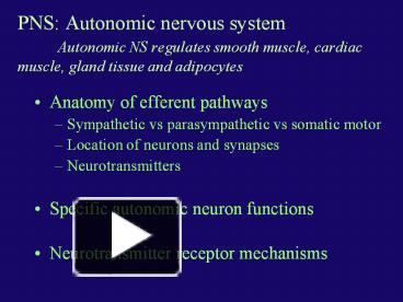 PPT – PNS: Autonomic nervous system Autonomic NS regulates smooth ...